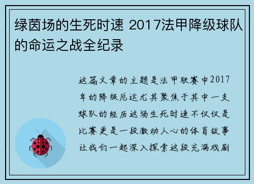 绿茵场的生死时速 2017法甲降级球队的命运之战全纪录